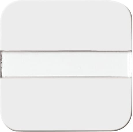 Busch-Jaeger 2506 N-214 Wippe aws Aus,Wech.,Kreuz,Tas.