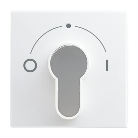 Busch-Jaeger 2557 SLPZ-914-101 Zentralscheibe Jalousie/Zeitschalt