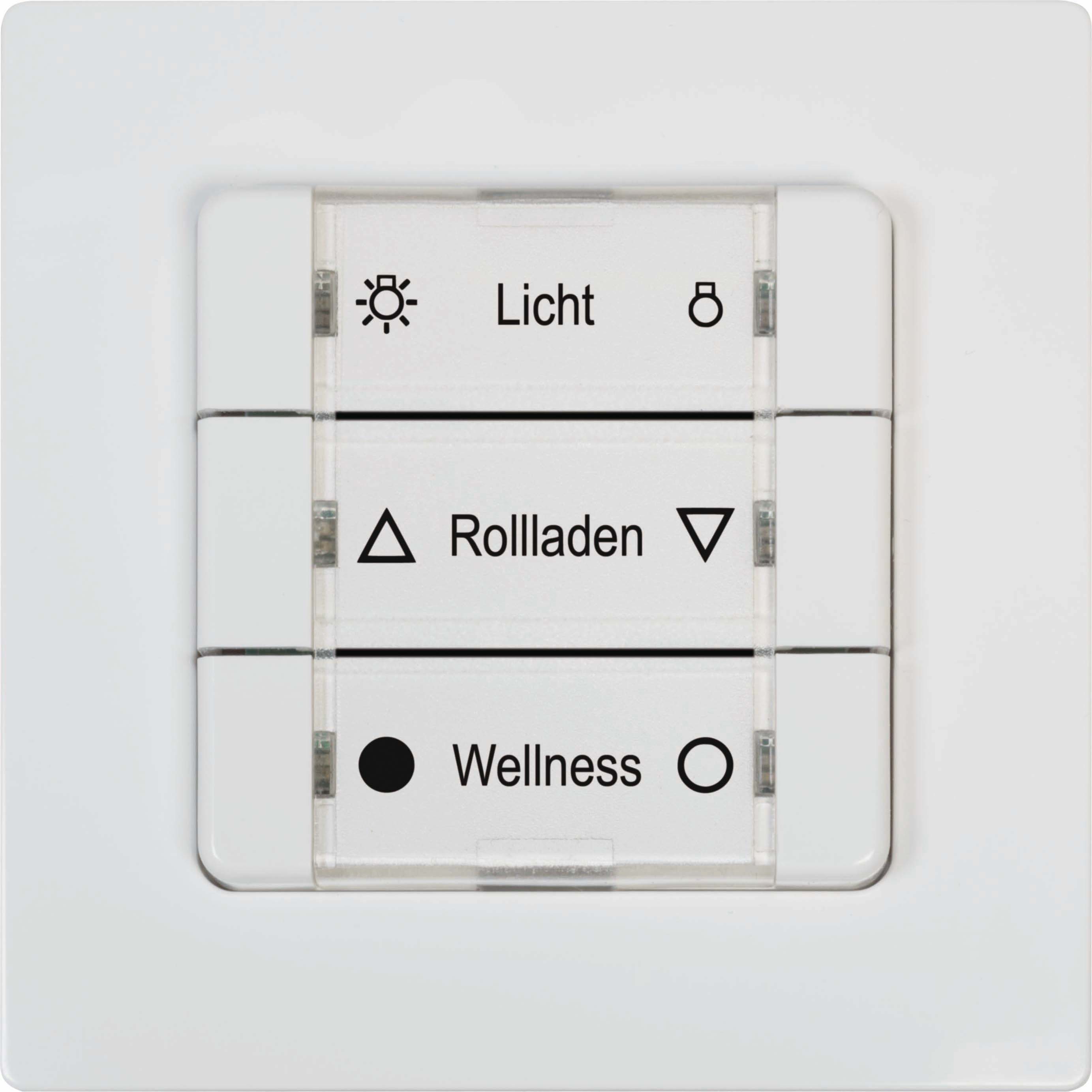DELTA DORE 9494-1 DuoFern Mehrfachwandtaster Batterieb.,ultra ws