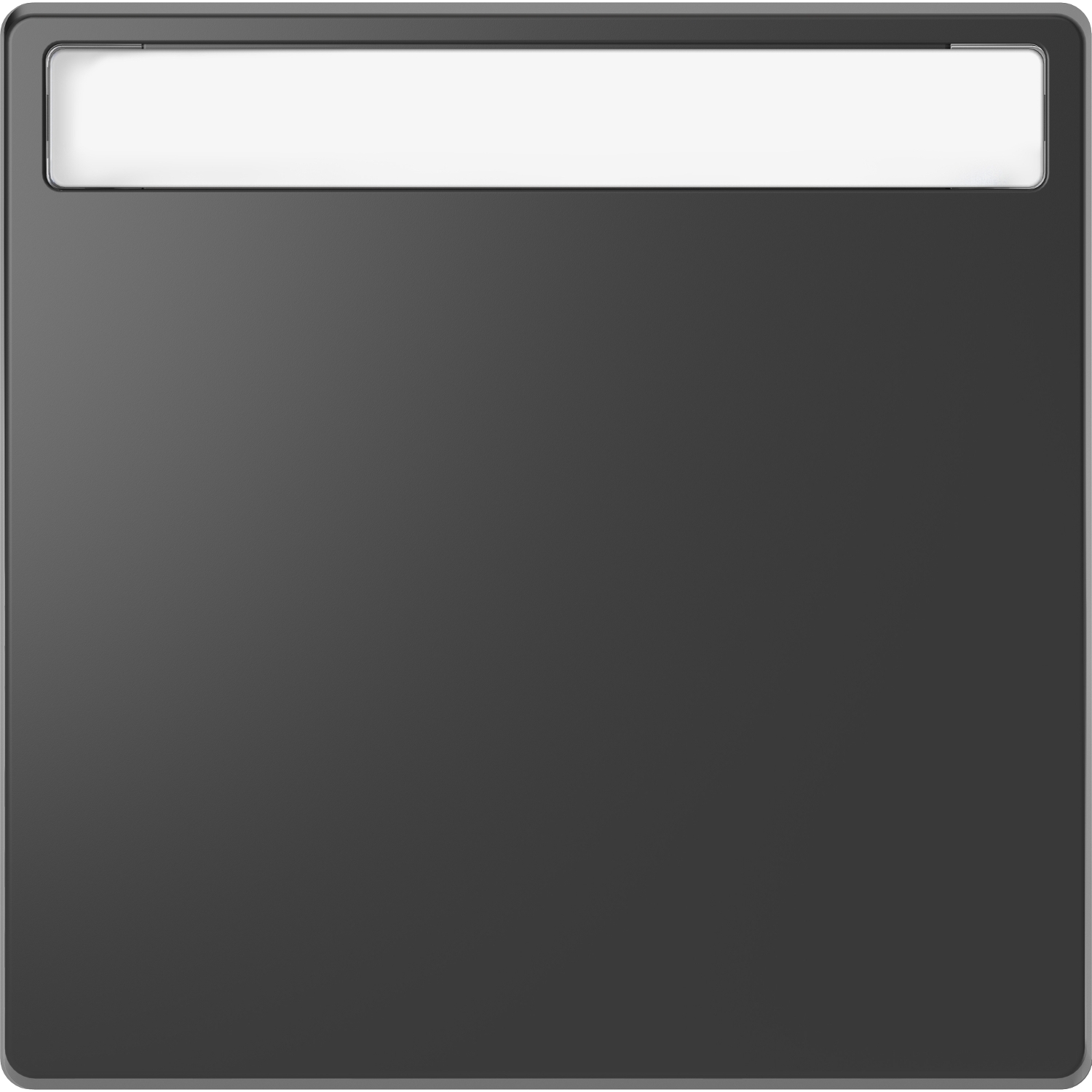 Merten MEG3360-6034 Wippe anth mit Schriftfeld