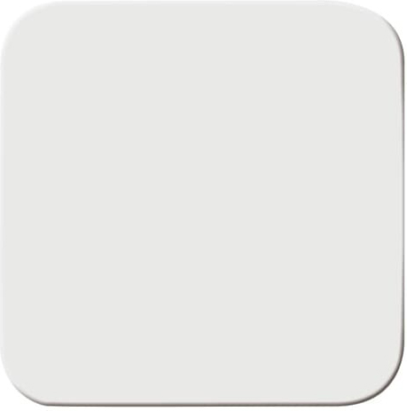 Busch-Jaeger 2506-214 Wippe aws m.geschl.Oberfläche