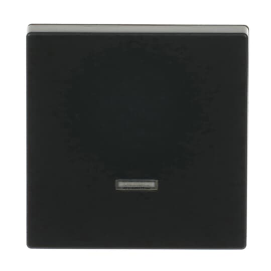 Busch-Jaeger 6543-885-101 Bedienelement Memory