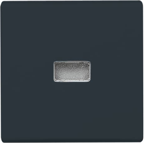 Busch-Jaeger 2107-35 Wippe anth Kontroll-Wechsel