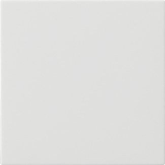 Gira 536027 Bedienaufsatz System rws