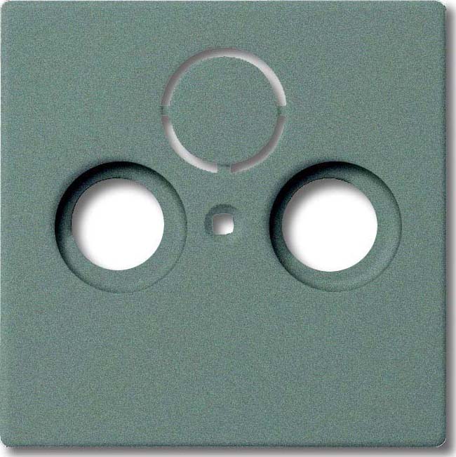 Busch-Jaeger 1743-803 Zentralscheibe meteor-gr f.Antennendose 2Loch