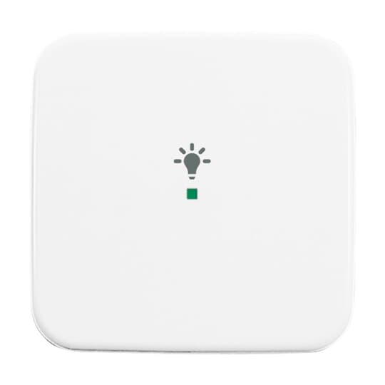 Busch-Jaeger 6231-10-214 Wippe 1-fach, Symbol Licht alpinweiß