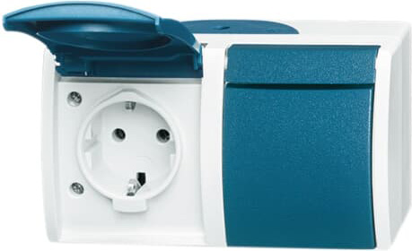 Busch-Jaeger 20/2 EW-53 Schuko-Steckdose 2f.gr/bgn waagerecht