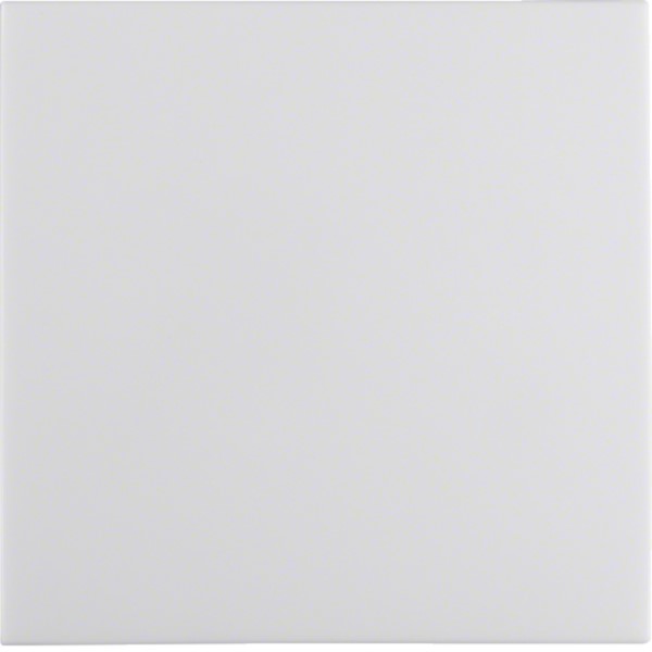 Berker 16208989 Wippe pws/gl