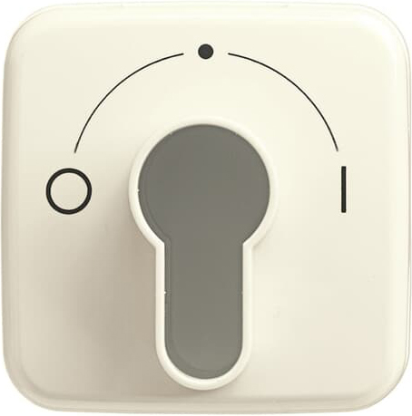 Busch-Jaeger 2557 SLPZ-212-101 Zentralscheibe ws f.Schlüsselschalter