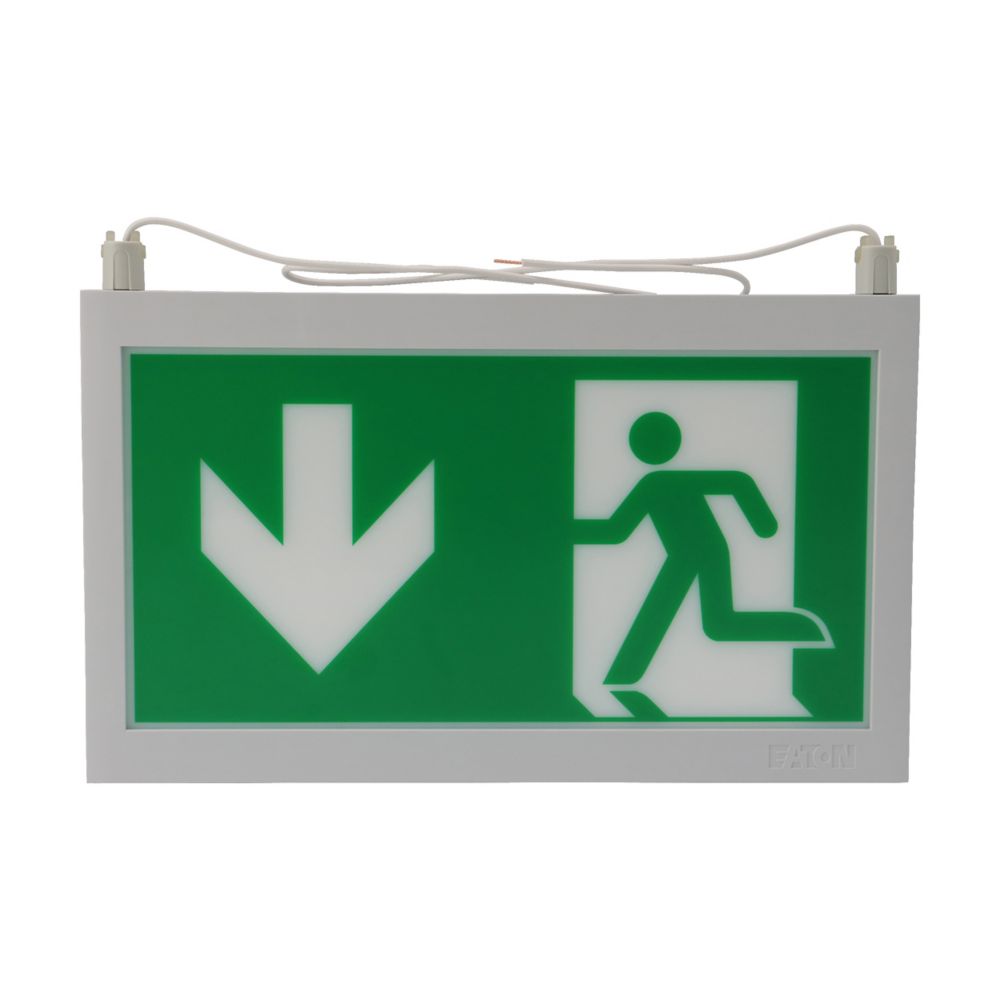 Ceag Notlichtsysteme 40071354507 Piktogrammscheibe 2-seitig LED PU/BL