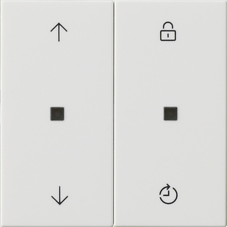 Gira 549203 Funk-Bedienaufsatz Mem.Pfeile reinweiß