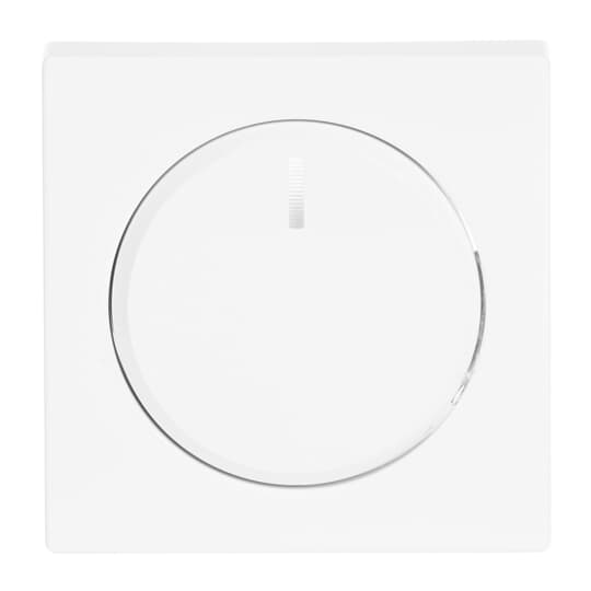 Busch-Jaeger 6540-84-102 Zentralscheibe dav/stws für Drehdimmer