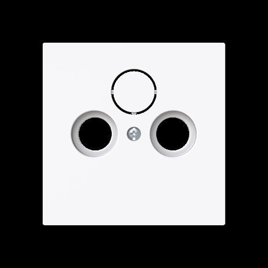 Busch-Jaeger 1743-44G Zentralscheibe Steckdose 2/3-fach