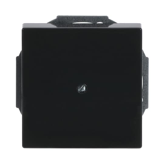 Busch-Jaeger 1749-81 Zentralscheibe anth m.Tragr.f.Ltgsauslaß