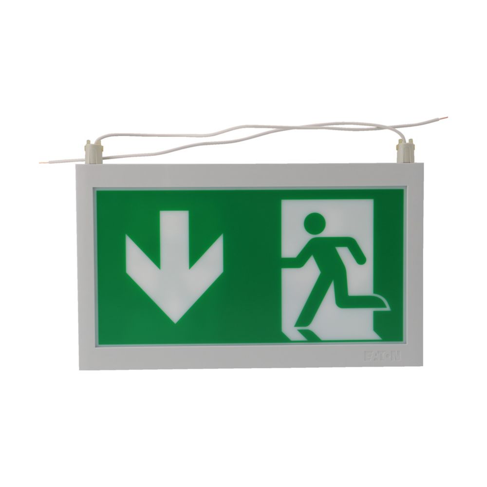 Ceag Notlichtsysteme 40071354504 Piktogrammscheibe 2-seitig LED PU/PU