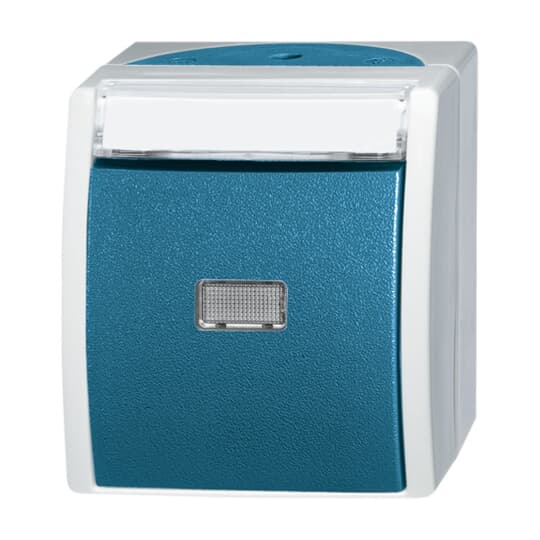 Busch-Jaeger 2621 WN-53-201 Taster Schliesser 1-pol.AP