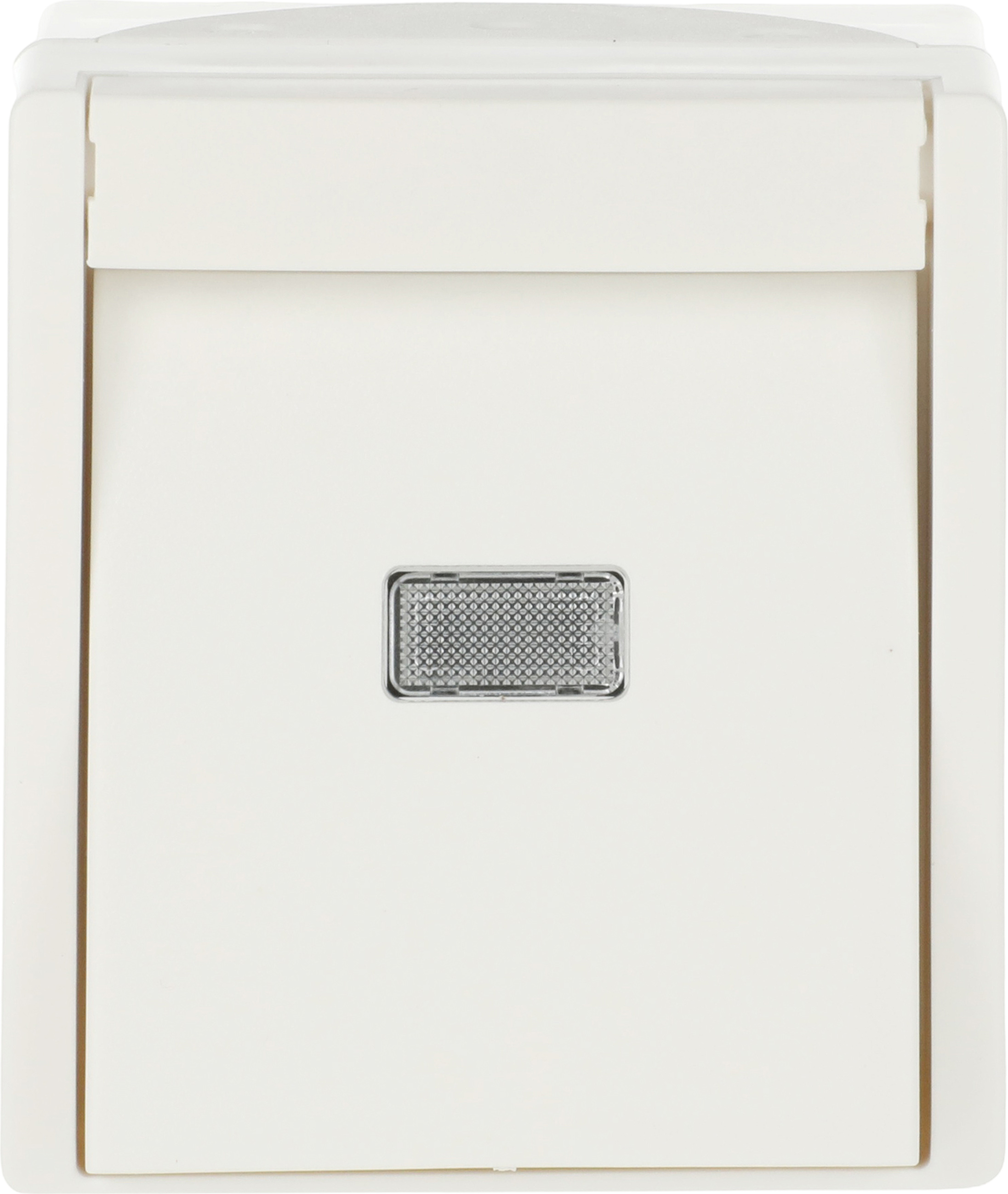 Busch-Jaeger 2621 WGL-54 Wipptaster,mit Beleuchtung