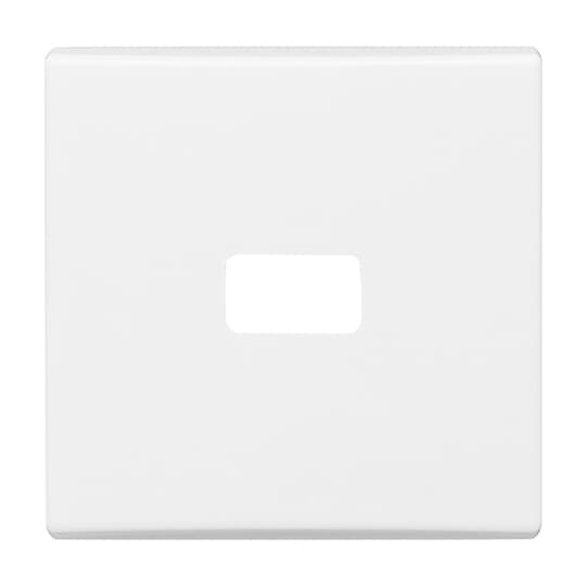 Busch-Jaeger 2120-34 Wippe aws offen für Symbol