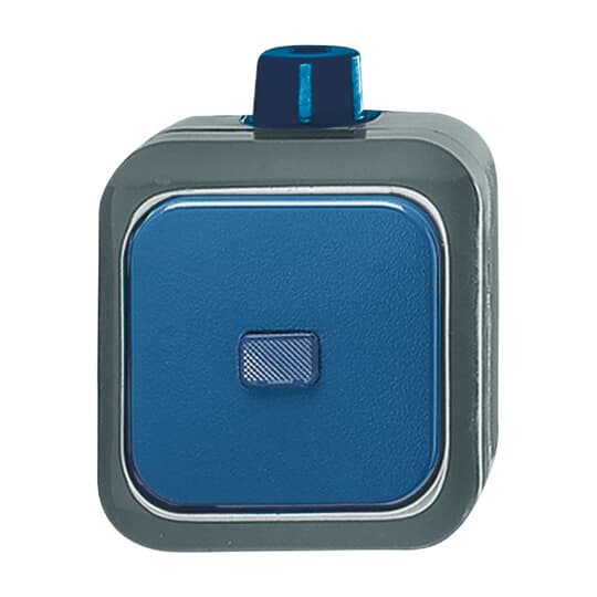 Busch-Jaeger 2601/6 WDI Wechselschalter AP