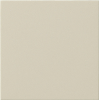 Gira 536001 Bedienaufsatz System cws