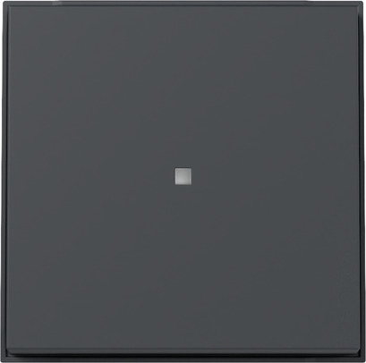 Gira 329067 Wippe Kontrollf. (WG UP) Anthrazit