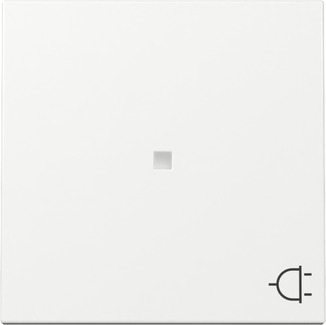 Gira 329103 Wippe Kontrollf. + Symb. Steckd. Reinweiß