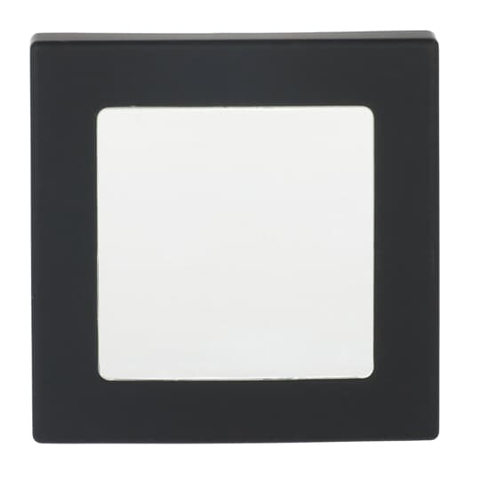 Busch-Jaeger 1716-885 Zentralscheibe sw mt für UP Infolicht