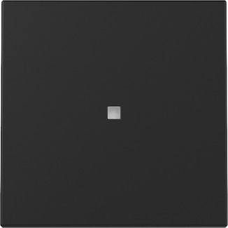 Gira 3290005 Wippe Kontrollf. Schwarz m