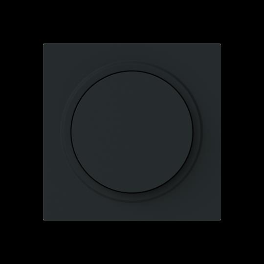 Busch-Jaeger 6540-45M-102 Zentralscheibe Dimmer m. Drehknopf