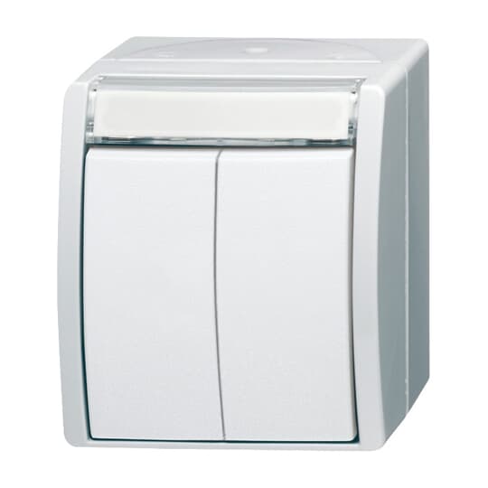 Busch-Jaeger 2621 WN-54-205-101 Doppeltaster 2 Schliesser