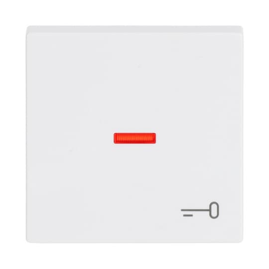 Busch-Jaeger 1789 TR-84 Wippe dav/sws mit Symbol Schlüssel