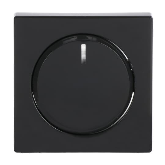 Busch-Jaeger 6540-81-102 Zentralscheibe anth für Drehdimmer