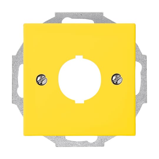 Busch-Jaeger 2533-914-15 Zentralscheibe gelb f.Datenkommunikation