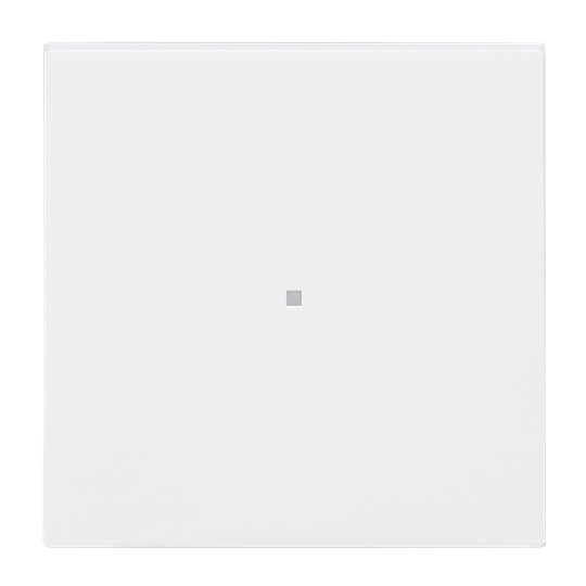 Busch-Jaeger 6230-10-44M Wippe, 1-fach neutral ohne Bedruckung