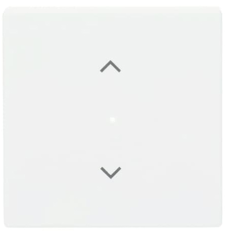 Busch-Jaeger 6232-10-884 Wippe studiows mt future linear