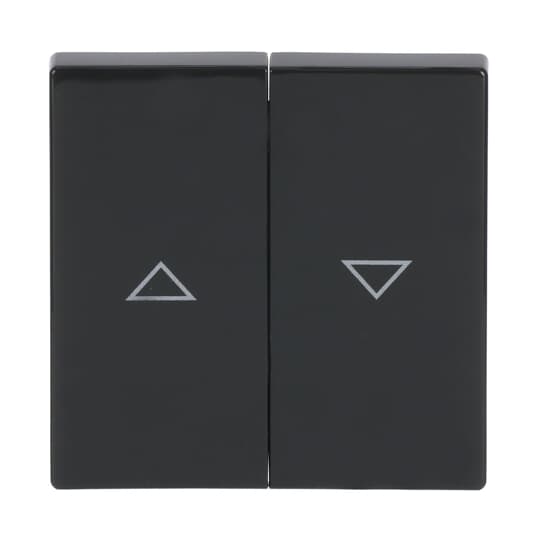 Busch-Jaeger 1785 JA-81 Wippe anth f.Jalousiesch/-tast.