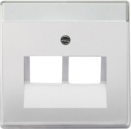 Busch-Jaeger 1803-02-866 Zentralscheibe eds f.UAE-Anschlussdo.2f