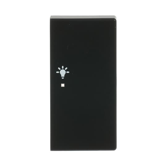 Busch-Jaeger 6231-22-885 Wippe sw mt future linear