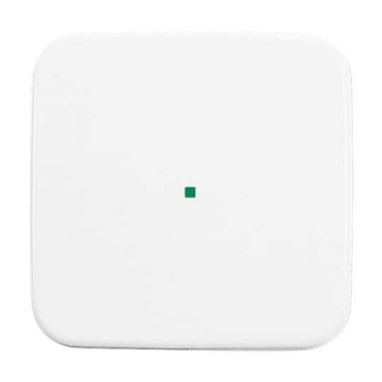 Busch-Jaeger 6230-10-214 Wippe 1-fach alpinweiß