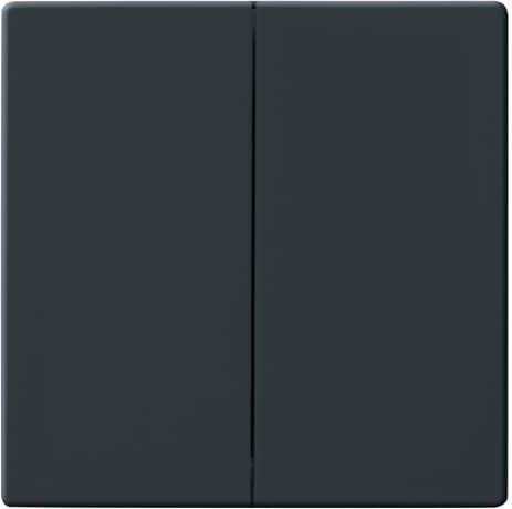 Busch-Jaeger 1785-81 Wippe anth Serienschalt/-taster