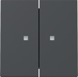 Gira 363128 Wippe 2f Kontrollf. Anthrazit