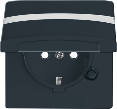 Busch-Jaeger 20 EUGKBN-35-101 Schuko-Steckdoseneinsatz IP44 anthrazit