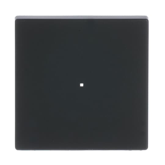 Busch-Jaeger 6230-10-885 Wippe sw mt future linear