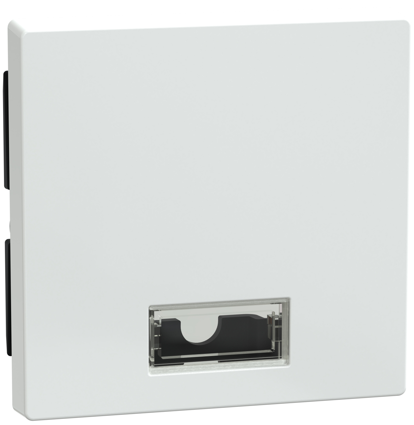 Merten 432825 Wippe Symbol Fenster awsgl rechteckig