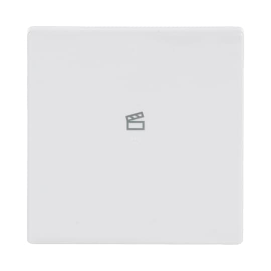 Busch-Jaeger 6233-10-84 Wippe 1-f Symbol Szene studioweiß