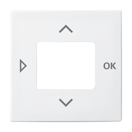 Busch-Jaeger 6435-914 Zentralscheibe alpinws f.Timer