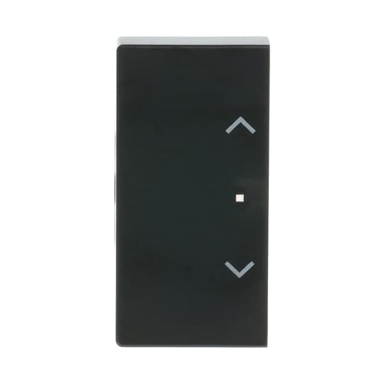 Busch-Jaeger 6232-20-81 Wippe 2-f li Symb Jalousie anthrazit