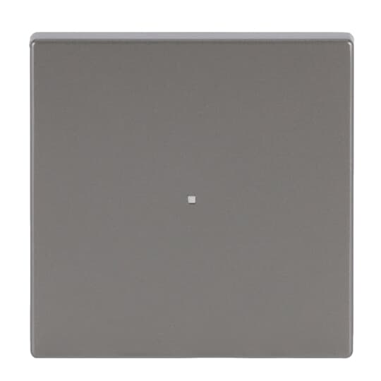 Busch-Jaeger 6230-10-866 Wippe eds pur Edelstahl