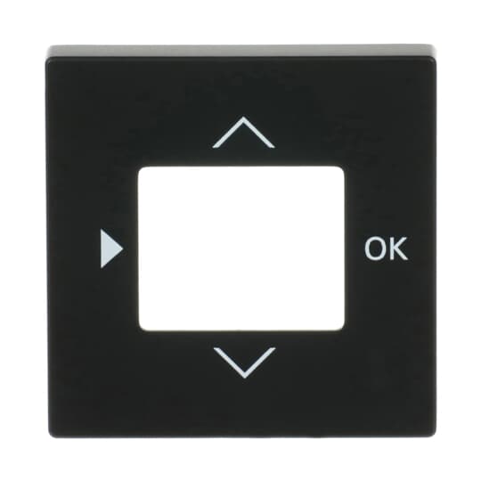 Busch-Jaeger 6435-885 Zentralscheibe Timer Bedienelement