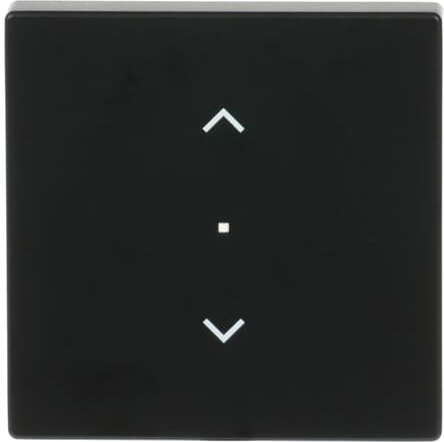 Busch-Jaeger 6232-10-885 Wippe sw mt future linear